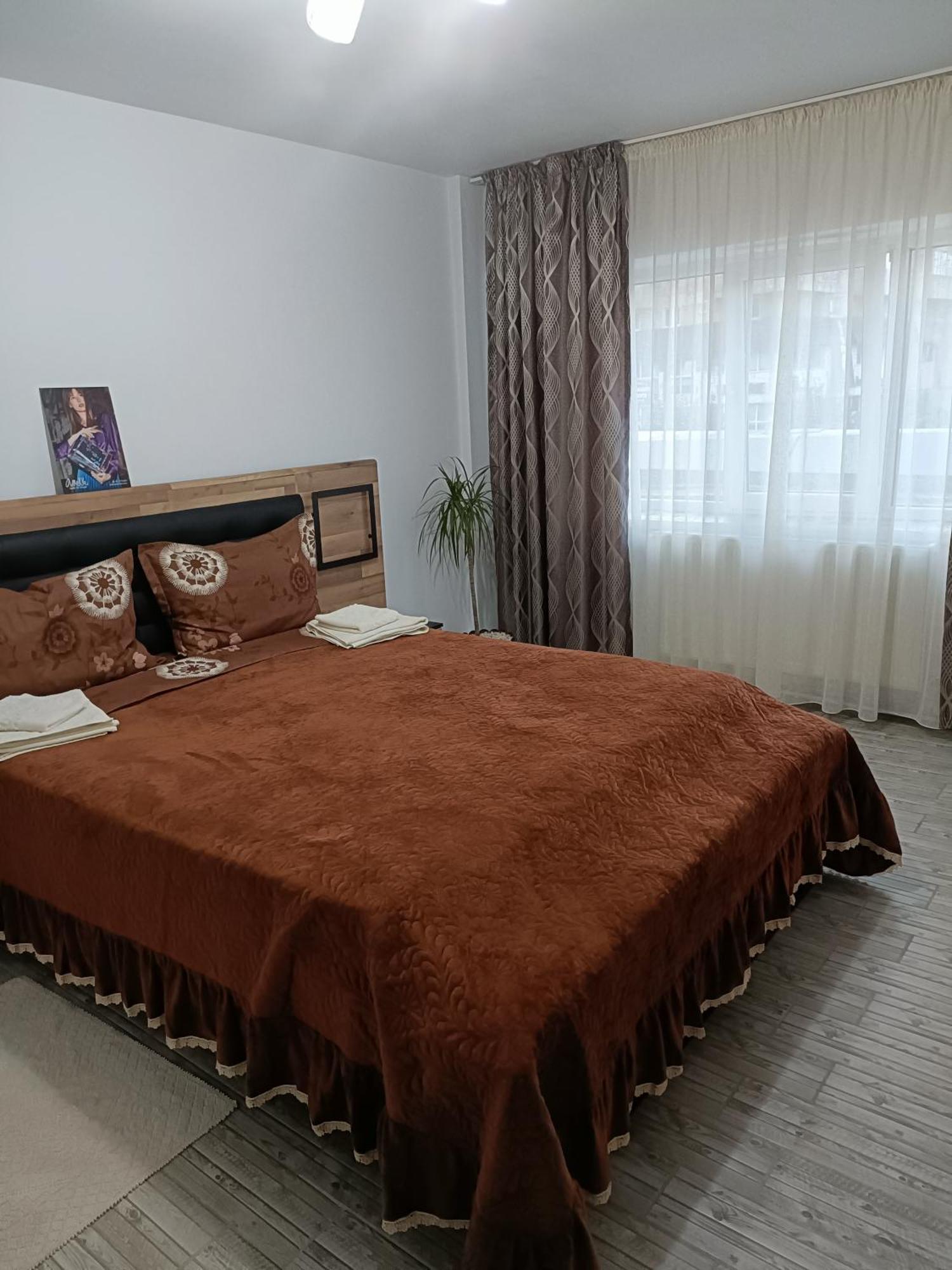 Manu Tg Neamt Apartment Targu Neamt